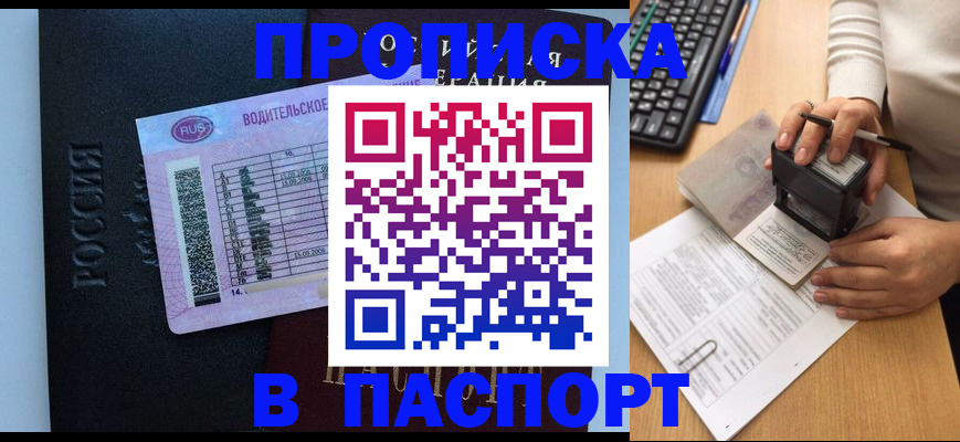пропишу в квартире в Светогорске